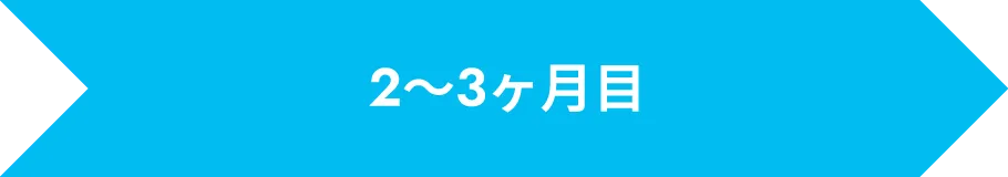 2〜3ヶ月目